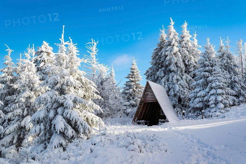 Typical triangular wooden shelter in front of a snow-covered coniferous forest under a clear blue sky on a sunny day in winter, Heinrich-Heine-Weg, Brocken, Harz National Park, Saxony-Anhalt, Germany