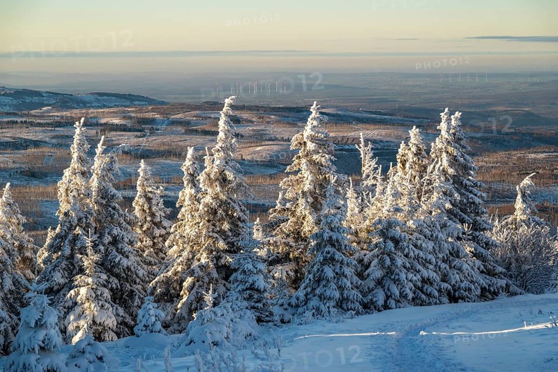Wide view over the snow-covered spruces (Picea abies) of a coniferous forest to a hilly winter landscape in the light of dusk, Heinrich-Heine-Weg, Brocken, Harz National Park, Saxony-Anhalt, Germany