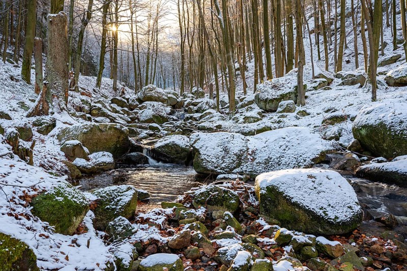 Gumpe with snow and moss-covered rocks in wintery Ilse Valley, Heinrich-Heine-Weg, Harz National Park, Saxony-Anhalt, Germany