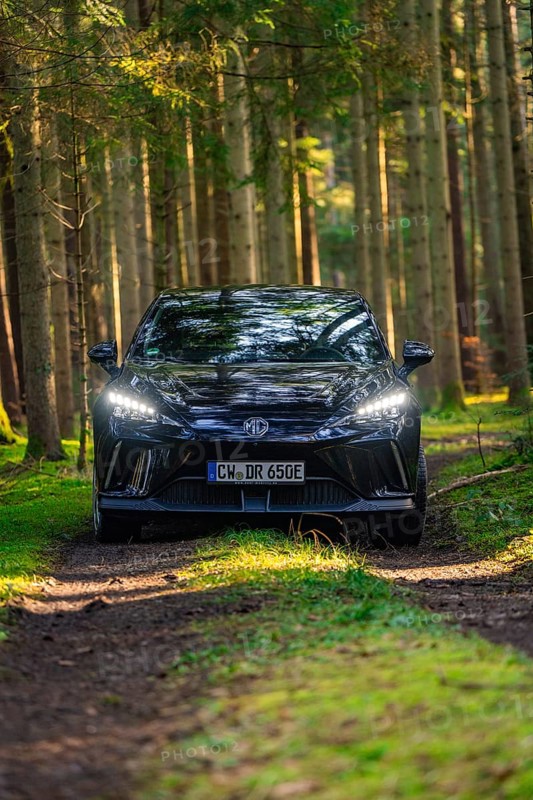 A dark car is parked frontally on a forest path, surrounded by tall trees, MG4 electric car, deer e-car sharing, Calw, Germany