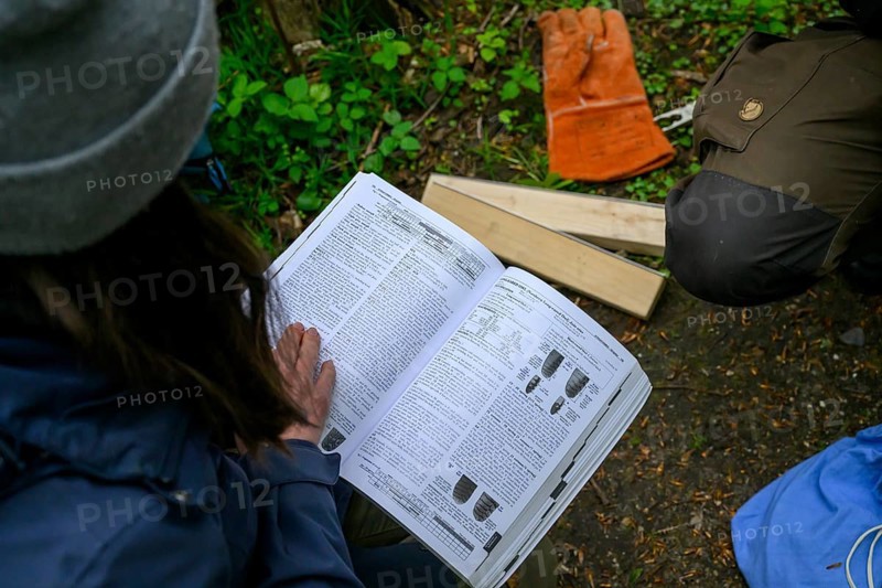 Münsterland, North Rhine-Westphalia, Germany, Two people are intensively looking at a book on determining the age of birds based on plumage characteristics, gloves and pieces of wood lying on the ground, bird ringing