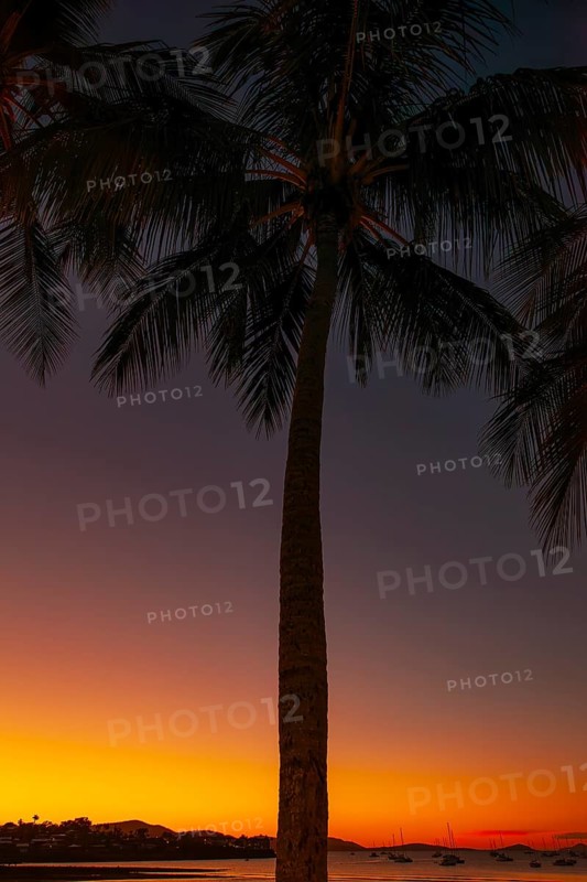 Evening sun set at Cairns Esplanade with glowing sky and palms by the bay, Cairns, Queensland, Australia