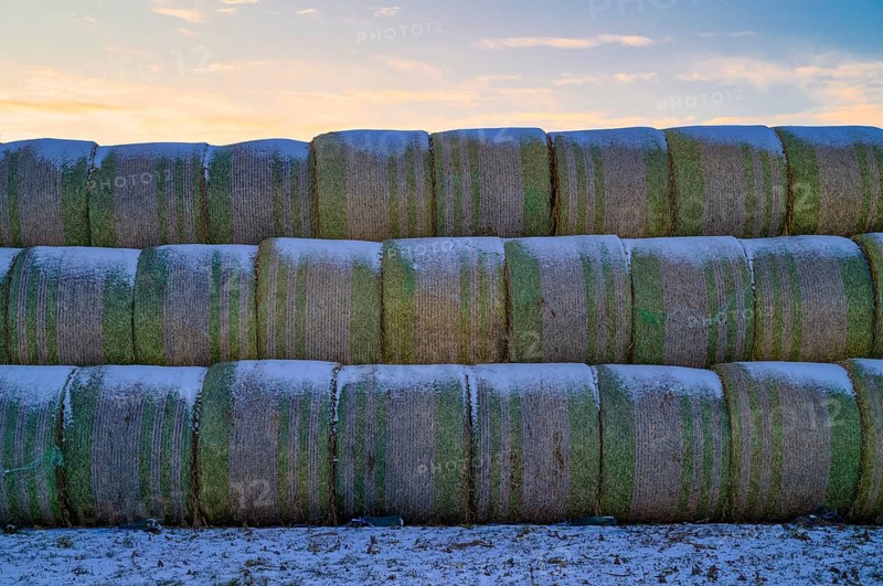 Straw bales stored in field, agriculture, Schmidener Feld, cold, winter, wintery, Schmiden near Fellbach, Baden-Württemberg, Germany