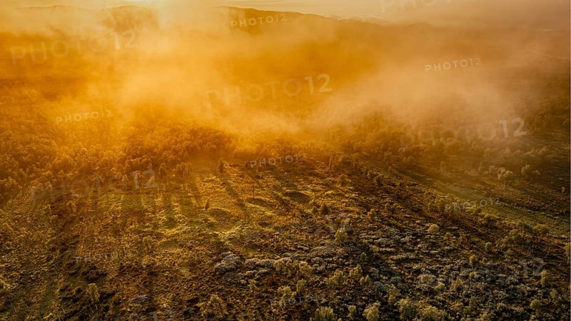 Mystical landscape in fog at sunset in golden light, large moorland along the E6 on the Arctic coast, drone view aerial view, Neiden, Troms, Norway