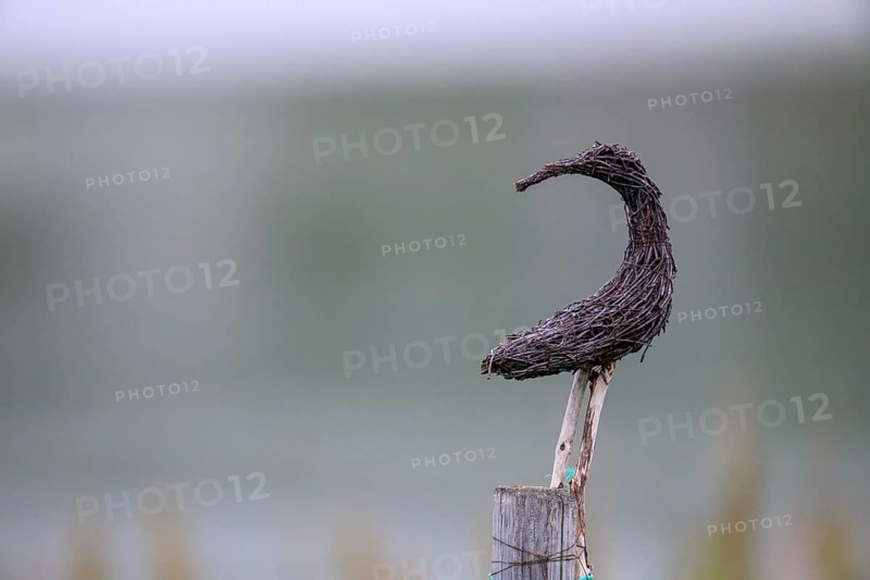 Wooden sculpture of a bird on a pole in a foggy atmosphere, Varangerbotn, Finnmark, Norway