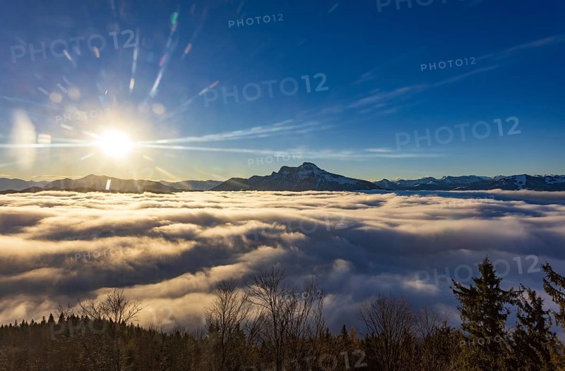 Sunrise, view from Kulmspitze, Schafberg rising out of a sea of fog, inversion weather, Osterhorn Group, Mondseeland Salzkammergut, Upper Austria, Austria