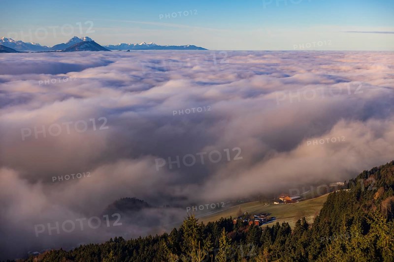 Agricultural landscape with farms rising out of a sea of fog, inversion weather, Mondseeland, Salzkammergut, Upper Austria, Austria