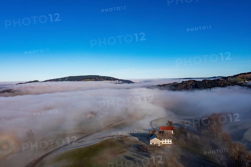 Drone view, agricultural landscape with farmhouse in autumnal morning fog, inversion weather, Mondseeland, Salzkammergut, Upper Austria, Austria