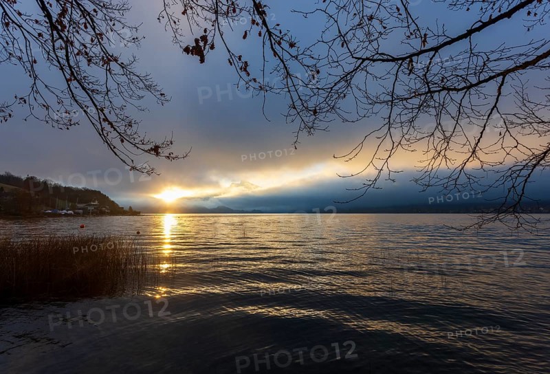 Quiet morning atmosphere at sunrise on a lake with reeds in the foreground, Mondsee, Salzkammergut, Upper Austria, Austria