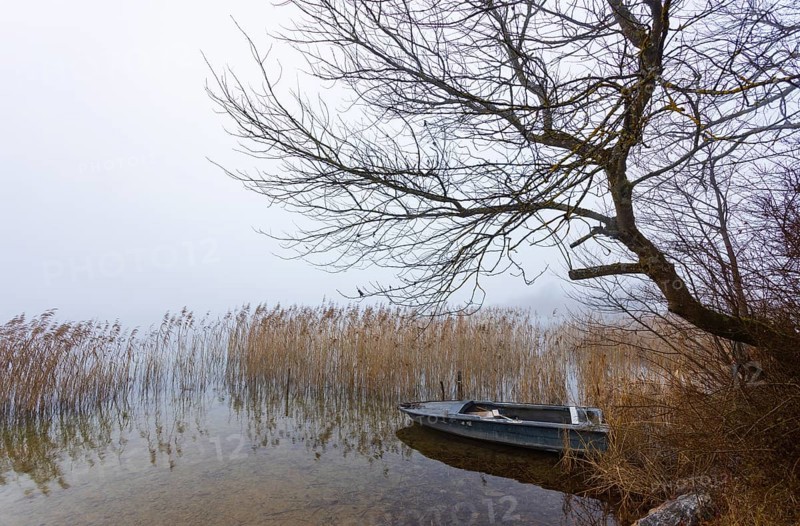 Foggy autumn atmosphere at the lake with fishing boat in reeds, Irrsee, Salzkammergut, Upper Austria, Austria