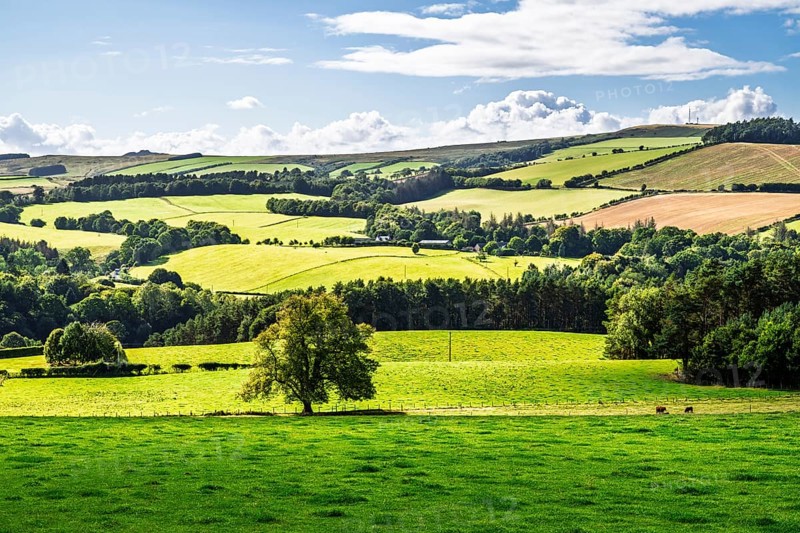 Fields and farms over Ferniehirst Castle, Oxnam, Jedburgh, Scottish Borders, Roxburghshire, Scotland, UK