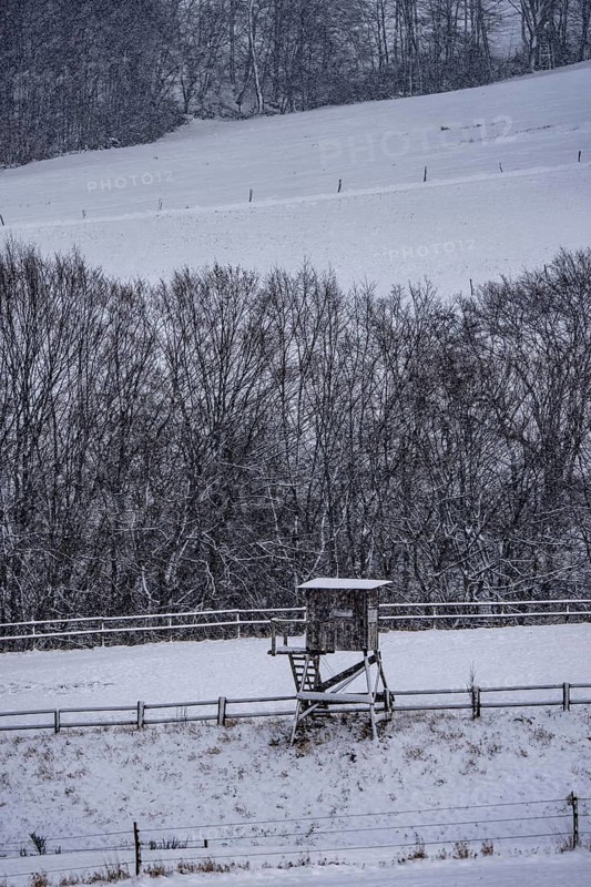 High seat, for hunters, in winter, near Oberelfringhausen in Elfringhauser Switzerland, near Hattingen, North Rhine-Westphalia, Germany