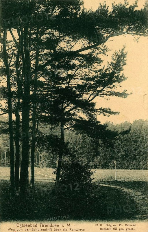 Baltic resort Arendsee, Kühlungsborn, Rostock district, Mecklenburg-Western Pomerania, until 1938 place name of the western district of Kühlungsborn, Germany, postcard, view around 1900 - 1910, historical, digital reproduction of a historical postcard, authentic, public domain, from that time, exact date unknown