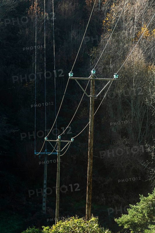 Two wooden utility poles are situated in a heavily wooded area. Overhead power lines are attached to the poles with light blue insulators. Sunlight filters through the trees. France