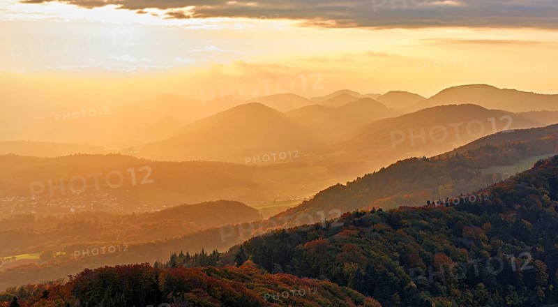View of an autumnal forest from the Gisliflue, behind the Jurassic foothills in the light of the setting sun, Talheim, Canton, Aargau, Switzerland