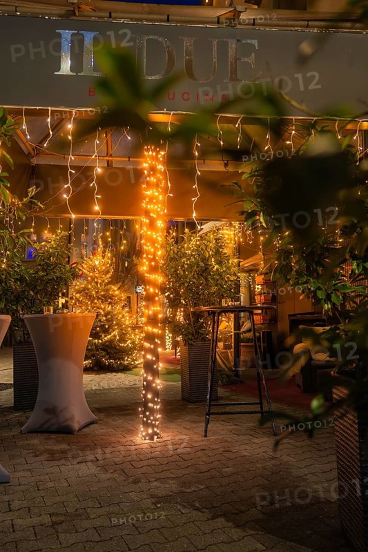 Illuminated terrace of a restaurant with fairy lights and plants in the foreground, Nagold, Calw district, Black Forest, Germany