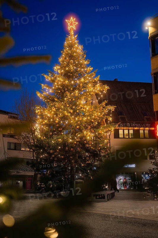 Large illuminated Christmas tree with glowing star in a twilight town, Nagold, Calw district, Black Forest, Germany