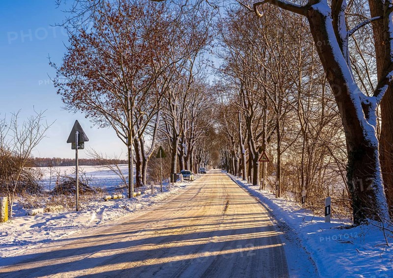 Landscape and country road in the historic district of Lübars, Berlin Reinickendorf, Germany