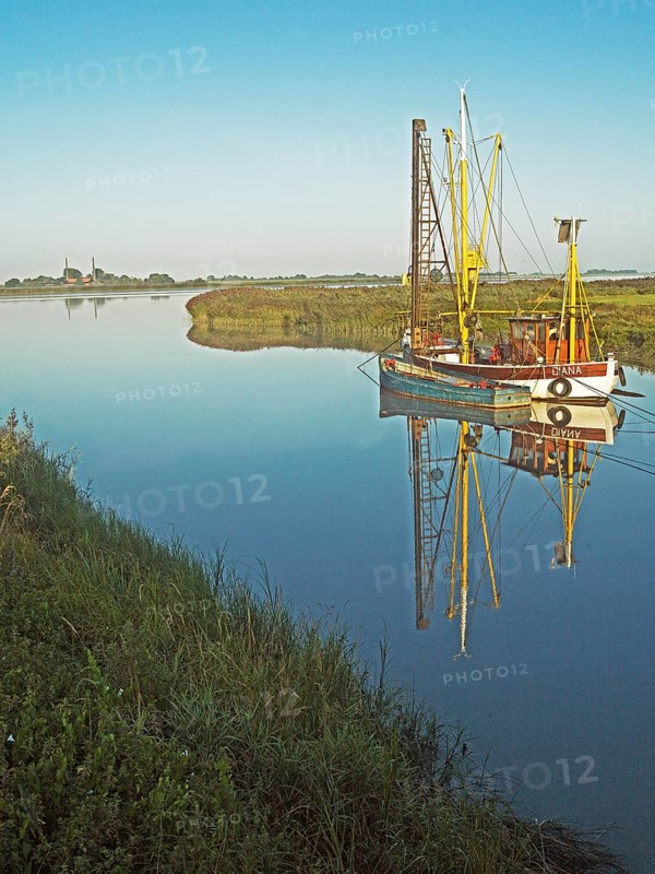 Emsfischereiboot, cutter, Diana, river, Ems, dammed up, flood, morning light, Terborg, East Frisia, Germany