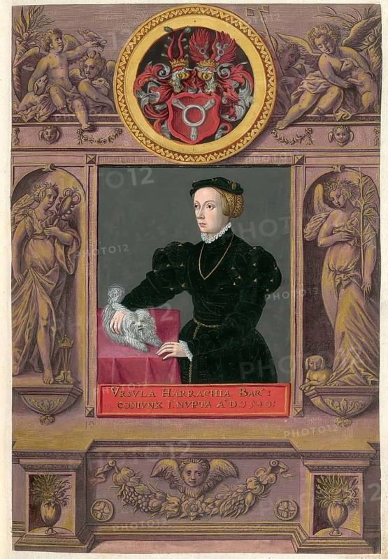 Members of the famous Augsburg-based Fugger family, Ursula Harrach, Ursula Fugger, born 1522, died September 18, 1554 in Augsburg, authentic reproduction from Fuggerorum et Fuggerarum imagines, a collection of colored copper engravings created in the late 16th and early 17th century and made by Dominicus Custos, historical