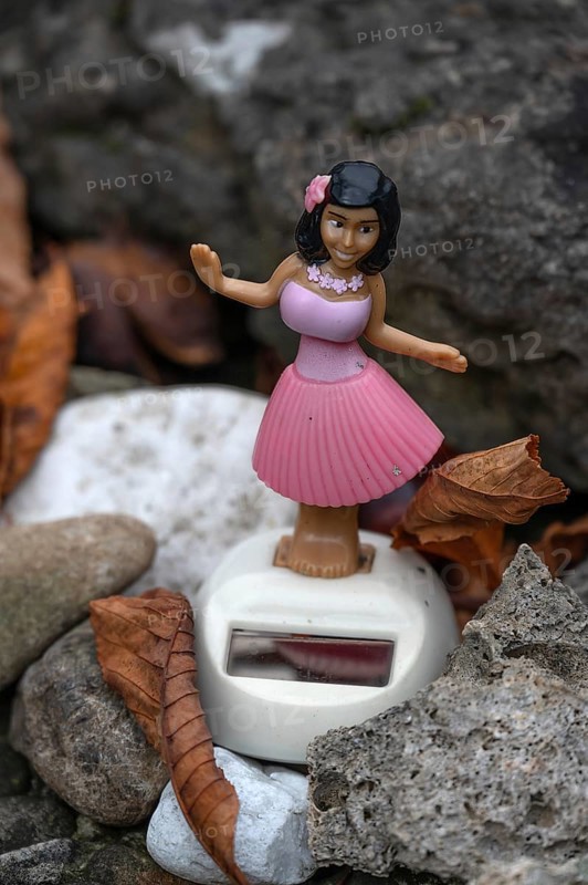 Dashboard wobble figure hula woman solar Hawaiian hula girl dancing in a garden, Bavaria, Germany