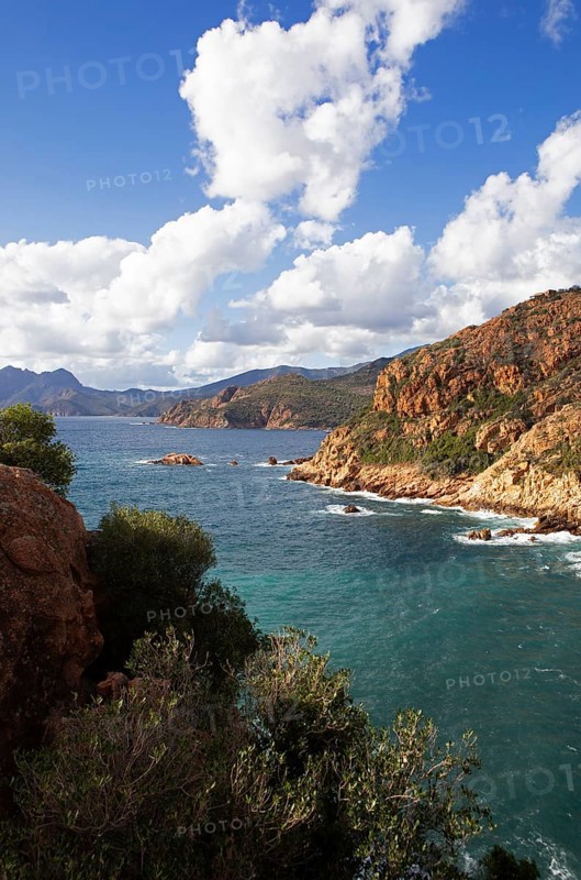 View of the Gulf of Porto and the bizarre rock erosions of the Calanche, Les Calanches de Piana, Corse-du-Sud, Corsica, France