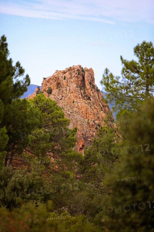 Bizarre rock erosions in evening light, Calanche, Les Calanches de Piana, Corse-du-Sud, Corsica, France