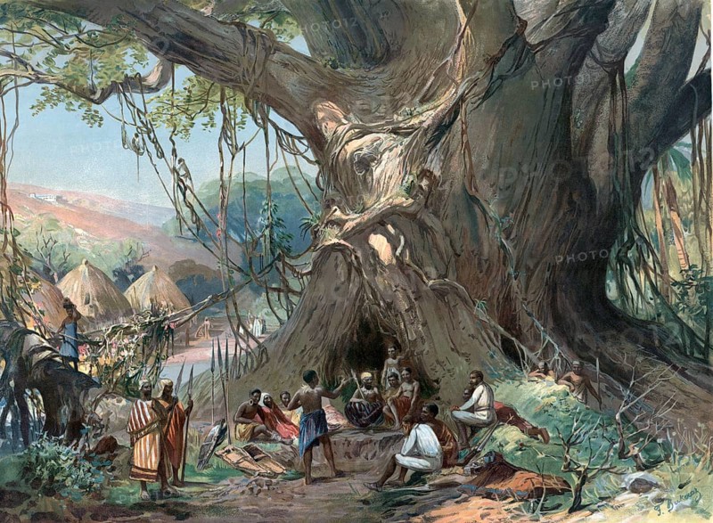 Negotiation under a baobab tree in Togo in 1905, Africa, authentic reproduction of a school mural, historical, exact date unknown