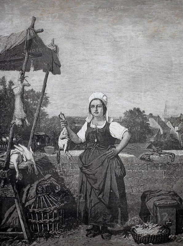 Game dealer, venison saleswoman with pheasants, duck and wild hare on sale, 1880, Germany, woman on a rural market presenting poultry products surrounded by baskets, historic, authentic, digitally restored reproduction from a 19th-century original, record date not stated