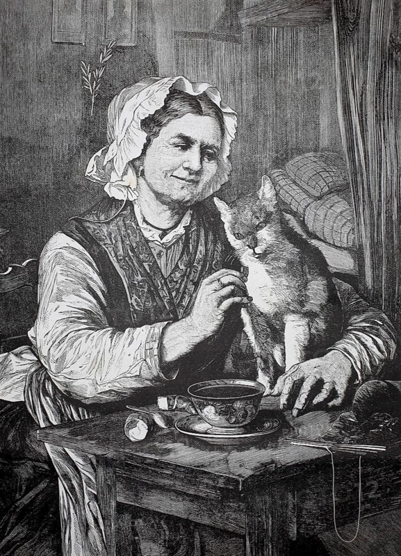 Elderly woman with her cat in the kitchen, at the kitchen table, 1880, Germany, elderly woman stroking a cat, relaxed atmosphere in the interior, historic, authentic, digitally restored reproduction from a 19th-century model, record date not stated