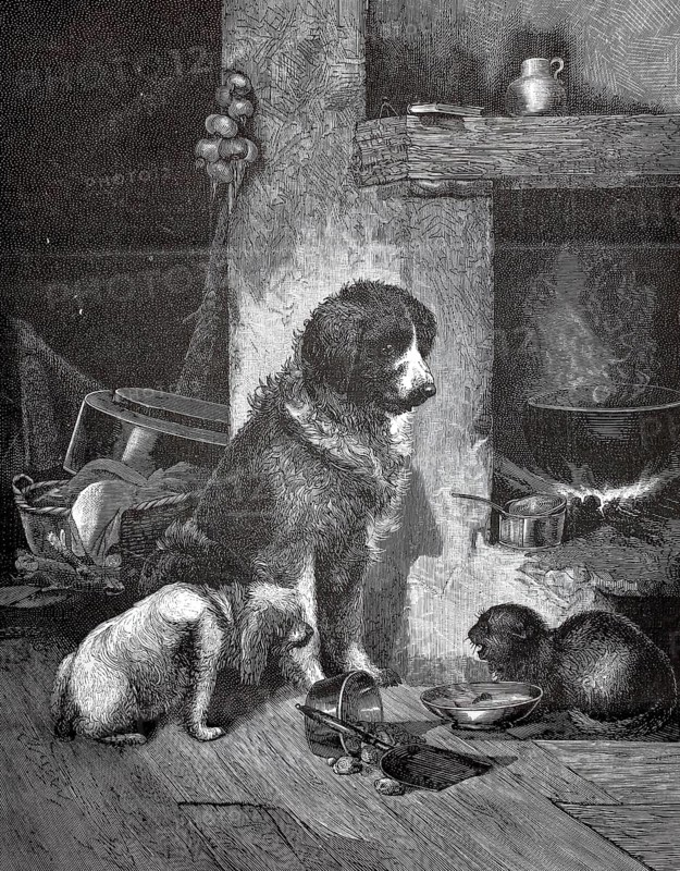 Dogs and aggressive cats fighting over a food bowl, 880, Three dogs rest in a cozy pantry full of supplies and utensils, historic, authentic, digitally restored reproduction from a 19th-century model, Record date not stated
