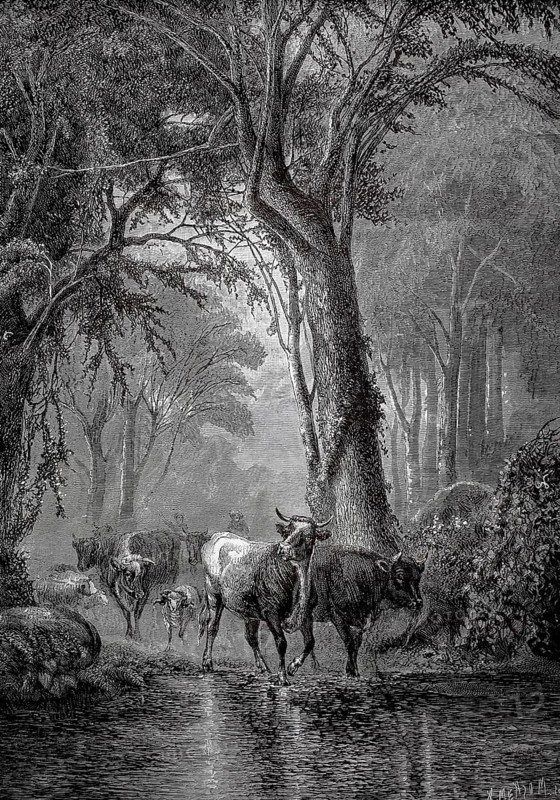 Cows at the watering pit, herd of cows is driven through the forest and stops at a river, 1880, North America, cattle move through a river in a forest, the scene conveys peace and closeness to nature, historical, authentic, digitally restored reproduction from a 19th-century original, record date not stated