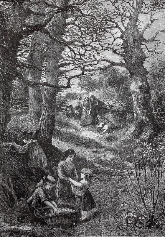 Children playing in the wild, spring, 1880, Germany, groups of children play happily in a tree-lined path in the midst of nature, historical, authentic, digitally restored reproduction from a 19th-century original, record date not stated