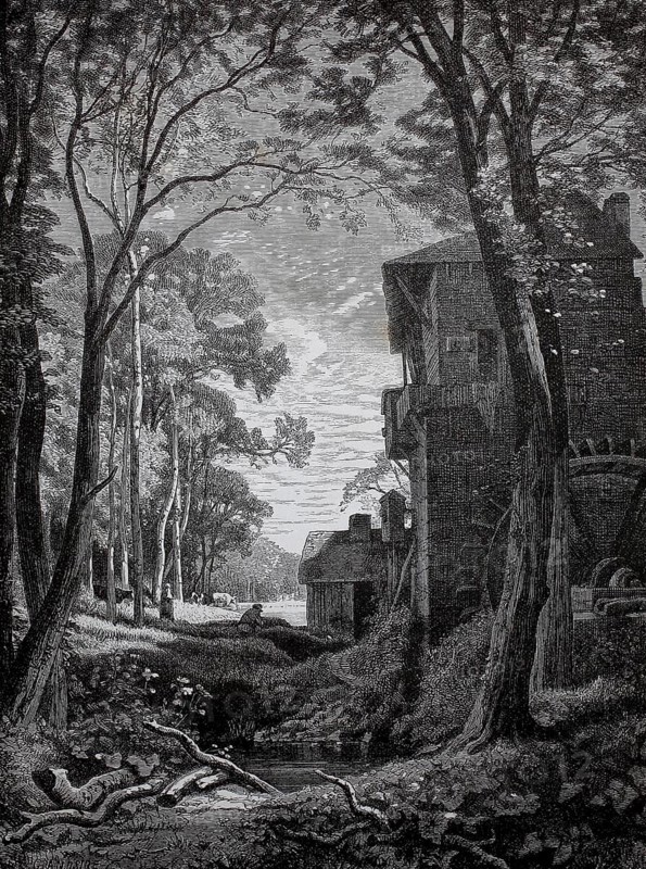 View of a mill with a mill wheel on a stream, 1880, Germany, A winding forest path leads past old houses, through thick trees that cast shadows on the way, historical, authentic, digitally restored reproduction of a 19th-century original, record date not stated