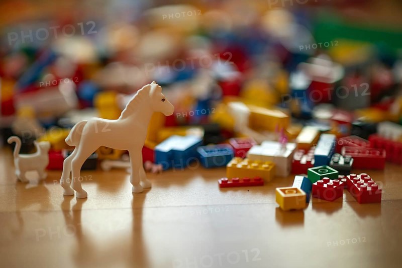 Various coloured Lego building blocks, horse, cat, lying on floor, parquet, Stuttgart, Baden-Württemberg, Germany