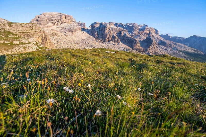 View of rocky mountain peaks of the Brenta Mountains in the evening light, mountain landscape on the Grosté Plateau, Brenta, Parco Naturale Brenta-Adamello, Trentino, Italy