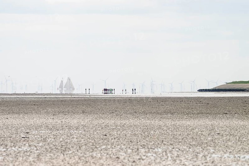 Wide view of the Wadden Sea at low tide with wind turbines and a sailing ship on the horizon in the foreground, a group of people hiking on the mudflat, Oosterend, Noord-Holland, the Netherlands