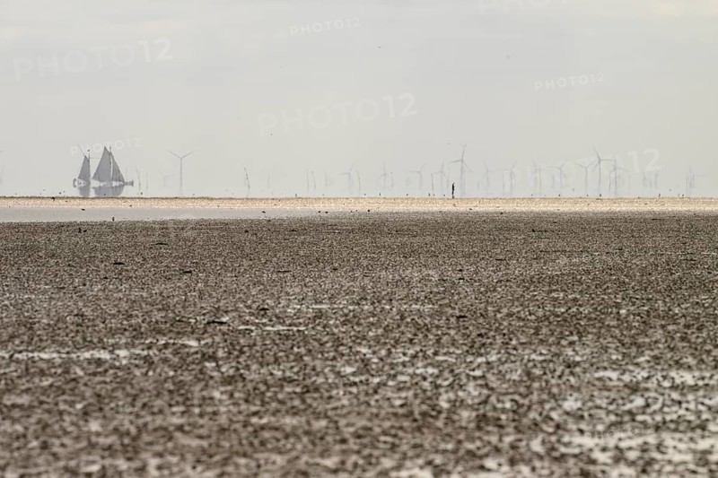 A sailing ship sails in the distance, while wind turbines in the quiet coastal landscape can be seen in the background the Wadden Sea at low tide, Oosterend, Noord-Holland, the Netherlands