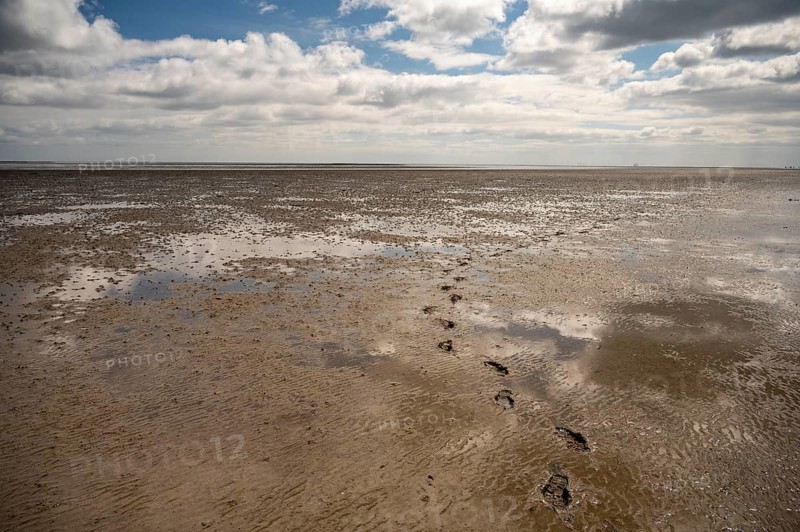 Footprints lead across the mudflats towards the wide horizon, Texel island, North Holland, the Netherlands