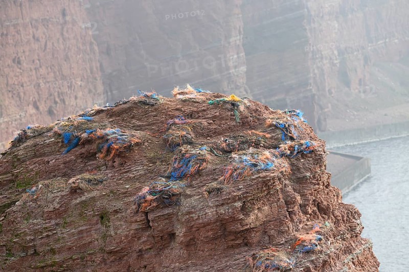 A rocky coastal area with abandoned nests of a gannet colony (Sula bassana) made of various materials with lots of plastic waste from old fishing nets in an earthy environment on the cliffs of the island of Helgoland, Helgoland, Schleswig-Holstein, Germany