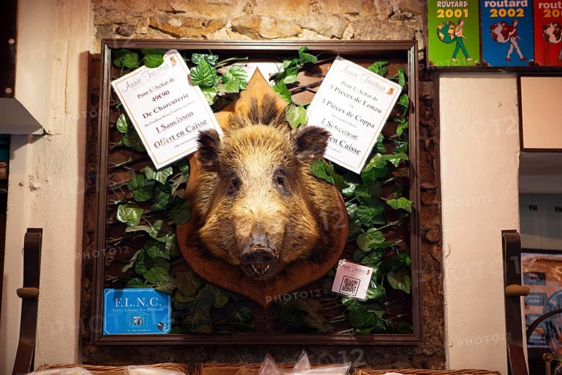 Boar head at the entrance to a delicatessen shop, Calvi, Balagne, Haute-Corse department, Corsica, France