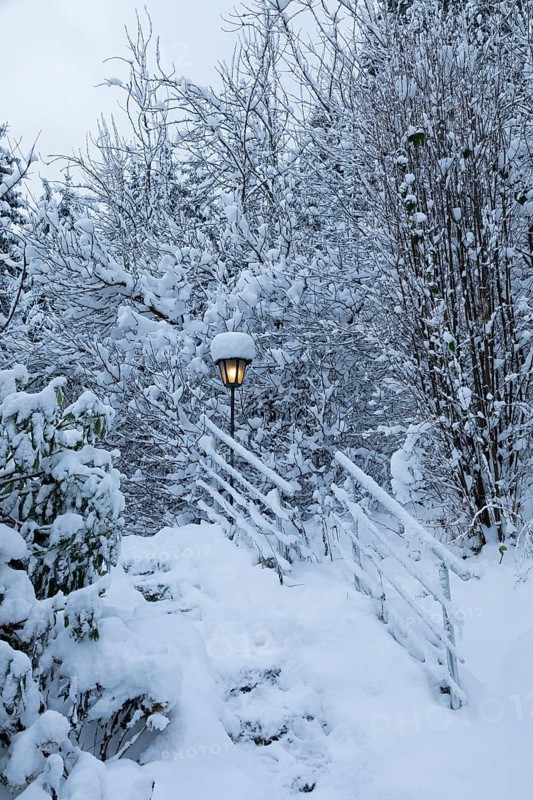 Snowy trees, garden, fence, lamp, snow, winter, Sieversen, Samtgemeinde Rosengarten, Lower Saxony, Germany