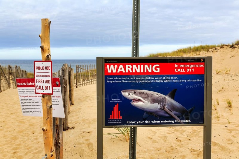 Information board, signs warning of white sharks, safety, emergency call, coastline, Provincetown, Race Point Beach, Cape Cod National Seashore, Atlantic Coast, Massachusetts, New England, USA
