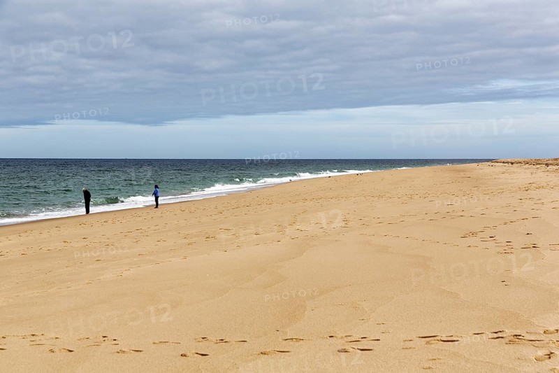 Ocean walkers, fall cloud cover, Provincetown, Race Point Beach, Cape Cod National Seashore, Atlantic Coast, Massachusetts, New England, USA