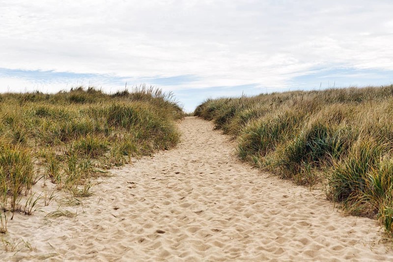 Sand path through dunes with tall grass, natural coastal landscape, Provincetown, Race Point Beach, Cape Cod National Seashore, Atlantic Coast, Massachusetts, New England, USA