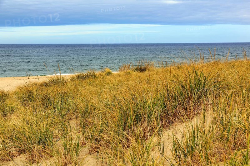 Ocean dune landscape, tall grasses on sand dunes, cloud cover, Provincetown, Race Point Beach, Cape Cod National Seashore, Atlantic Coast, Massachusetts, New England, USA