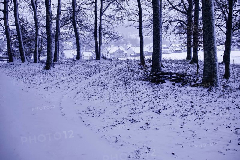 Snowy forest trail with a view of a village in the background, Siegen