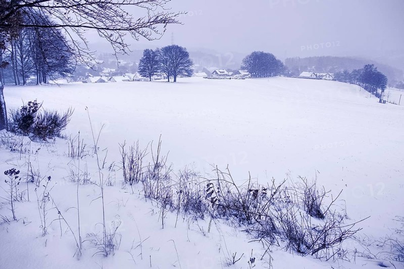 Snow-covered wide plain with a view of a village and surrounding trees, Siegen