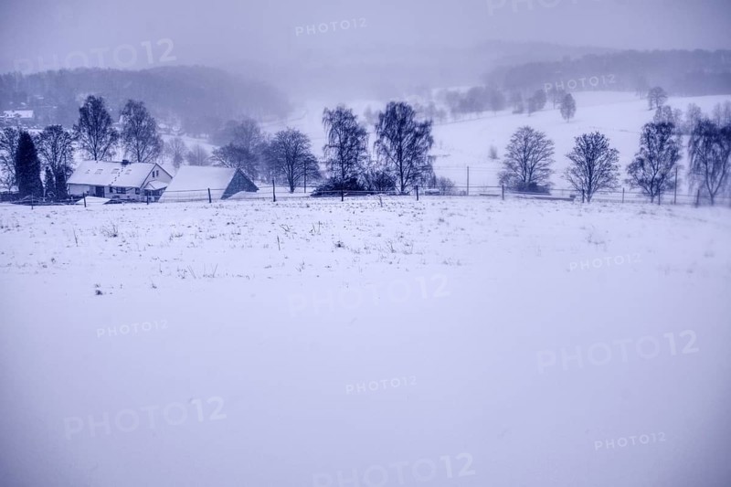 Snowy village in the background flanked by trees under winter fog, Siegen
