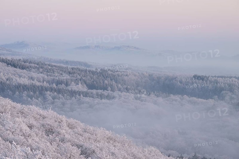 Snowy range of hills with frosty trees in the morning light, Hermannsweg an der Steinegge, Dissen am Teutoburger Wald, Lower Saxony, Germany
